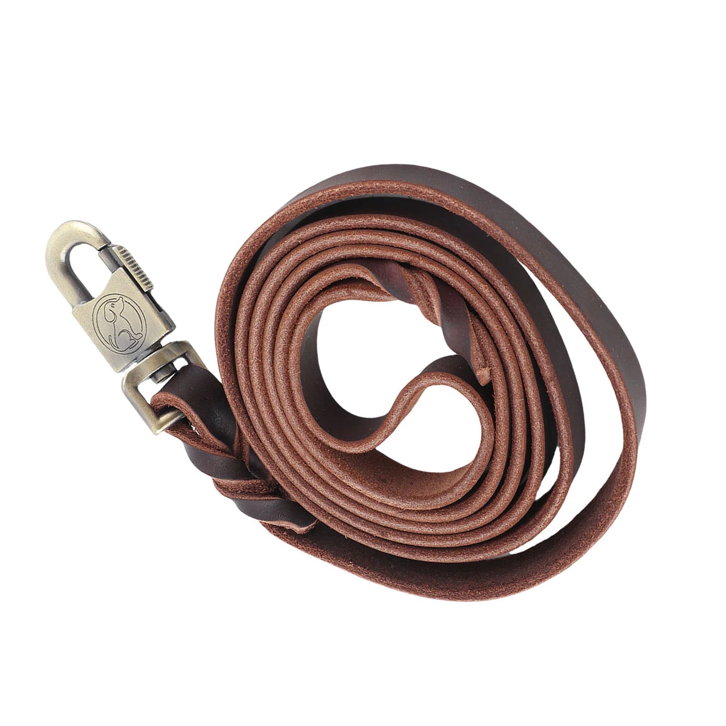 Laisse d'entraînement en cuir premium