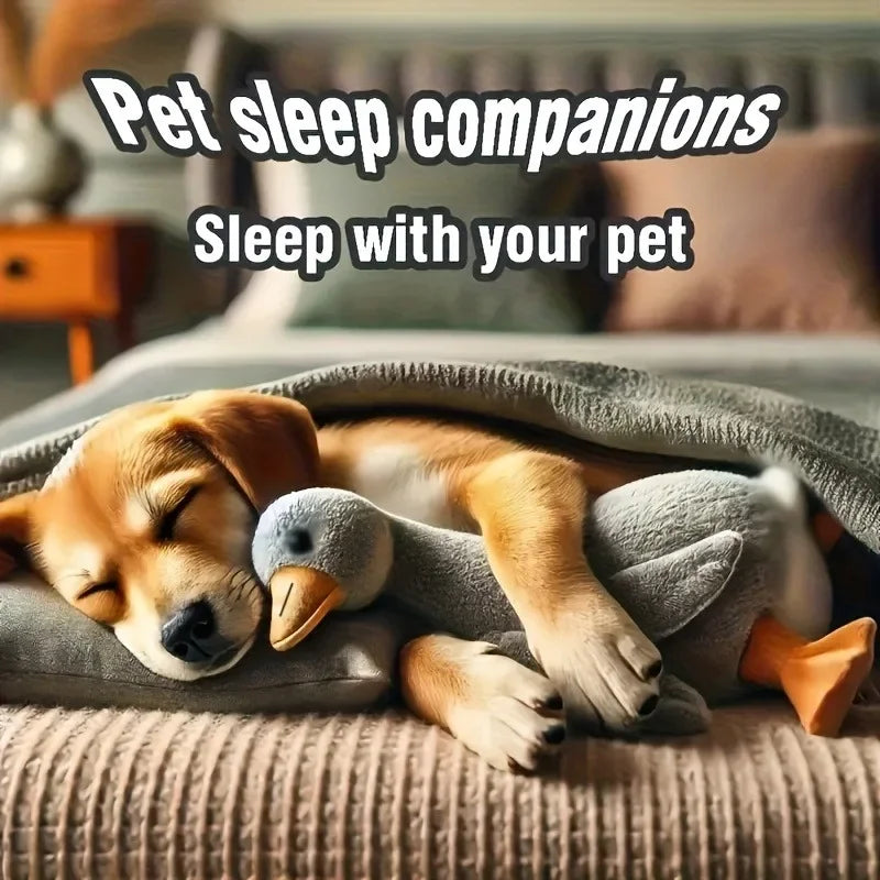 Canard en peluche coloré