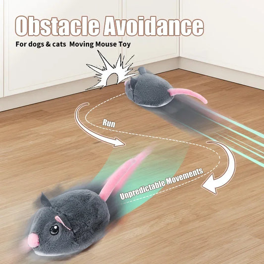 Souris interactive électrique pour chat