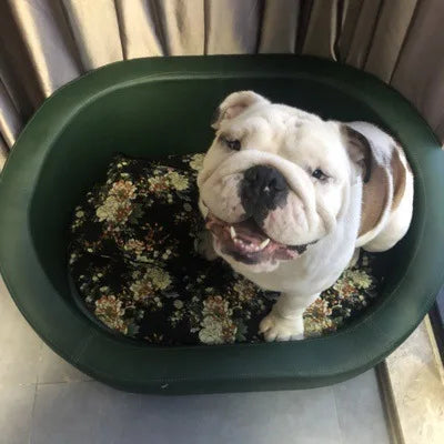 Lit lavable, canapé en bois pour animaux de compagnie