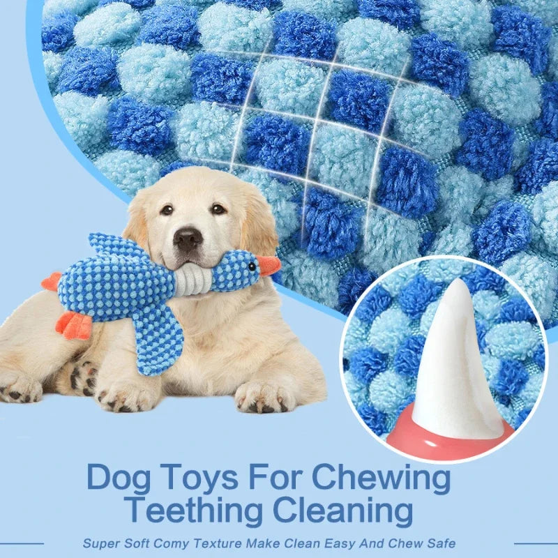 Jouet en Peluche pour Chien