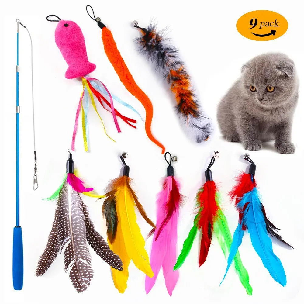 Ensemble de 7 à 13 jouets pour animaux de compagnie