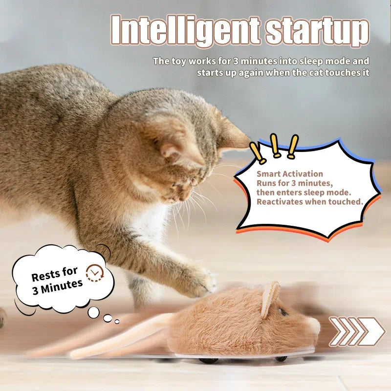 Souris interactive électrique pour chat