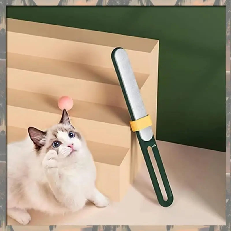 Rouleau Réutilisable pour Élimination des Poils d'Animaux