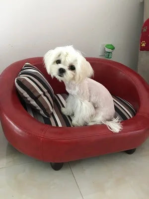 Lit lavable, canapé en bois pour animaux de compagnie