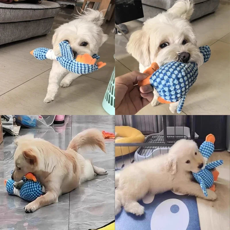 Jouet en Peluche pour Chien