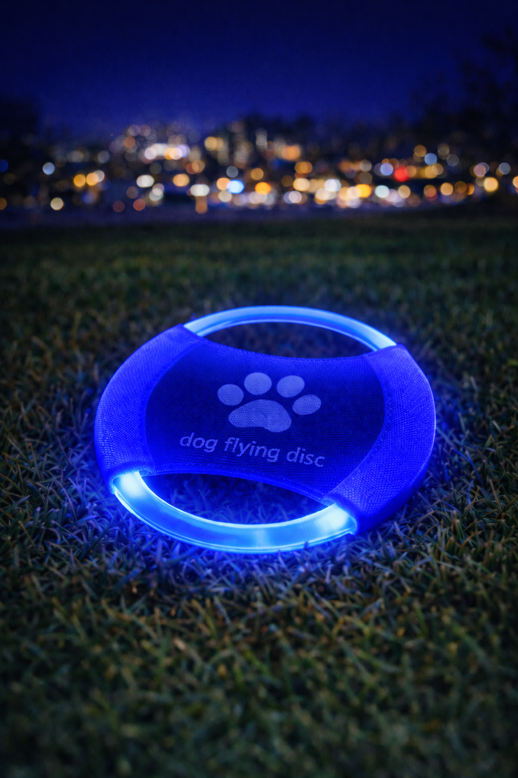 Disque Volant Lumineux