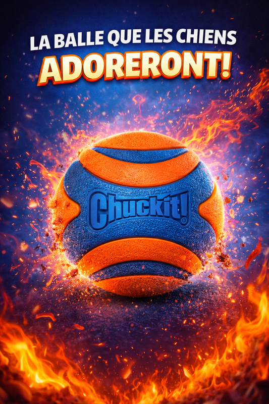 Chuck it Ultra Ball