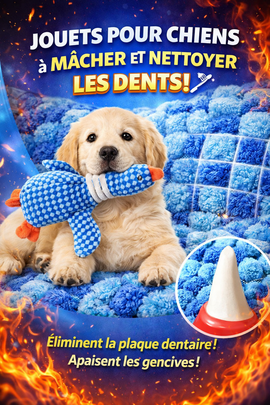 Jouet en Peluche pour Chien