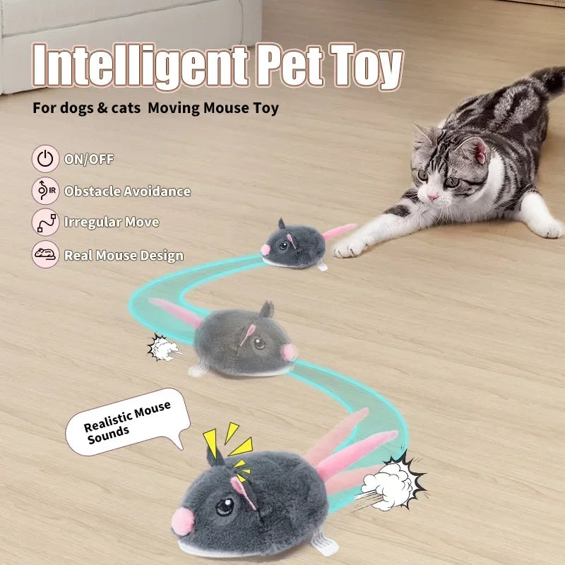 Souris interactive électrique pour chat