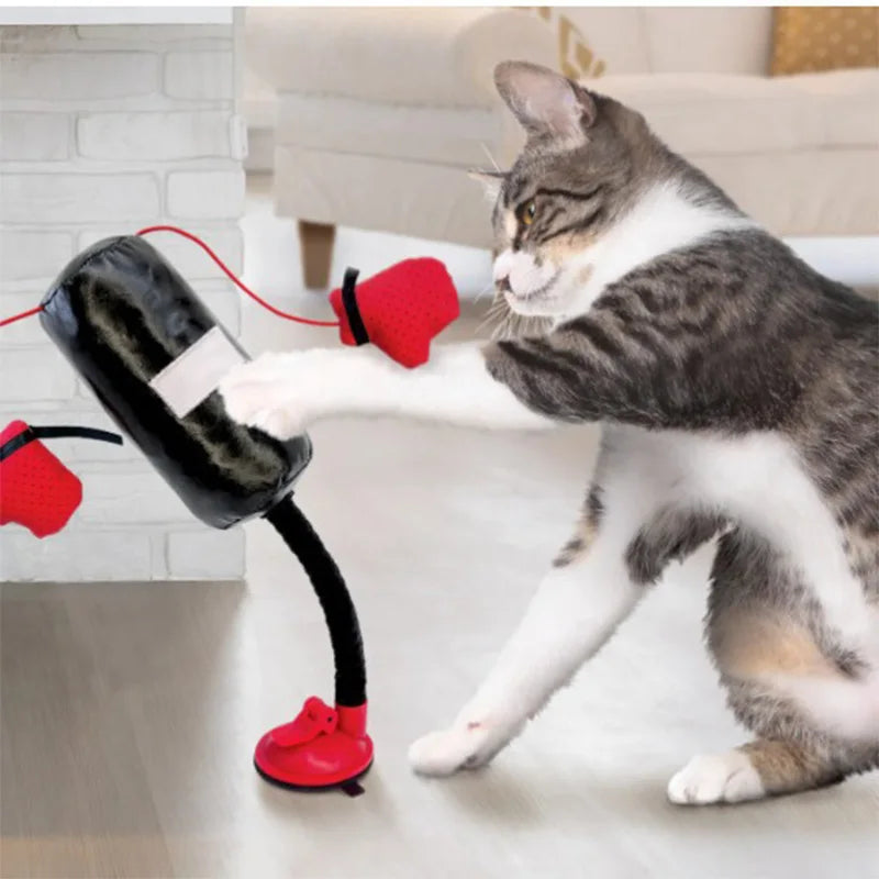 Jouet de boxe pour chat