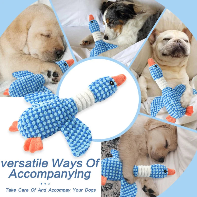 Jouet en Peluche pour Chien